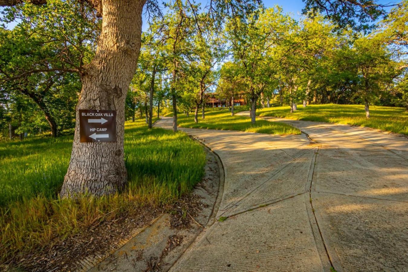 10-Acre Forest Villa, 20 Miles From Yosemite South Oakhurst Eksteriør billede
