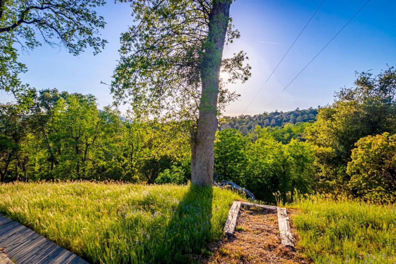 10-Acre Forest Villa, 20 Miles From Yosemite South Oakhurst Eksteriør billede
