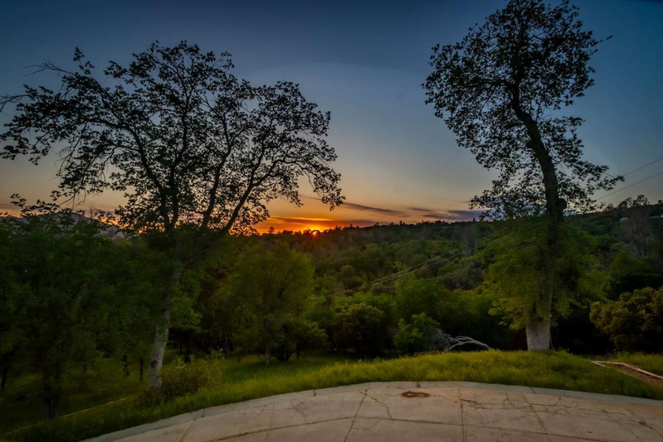 10-Acre Forest Villa, 20 Miles From Yosemite South Oakhurst Eksteriør billede