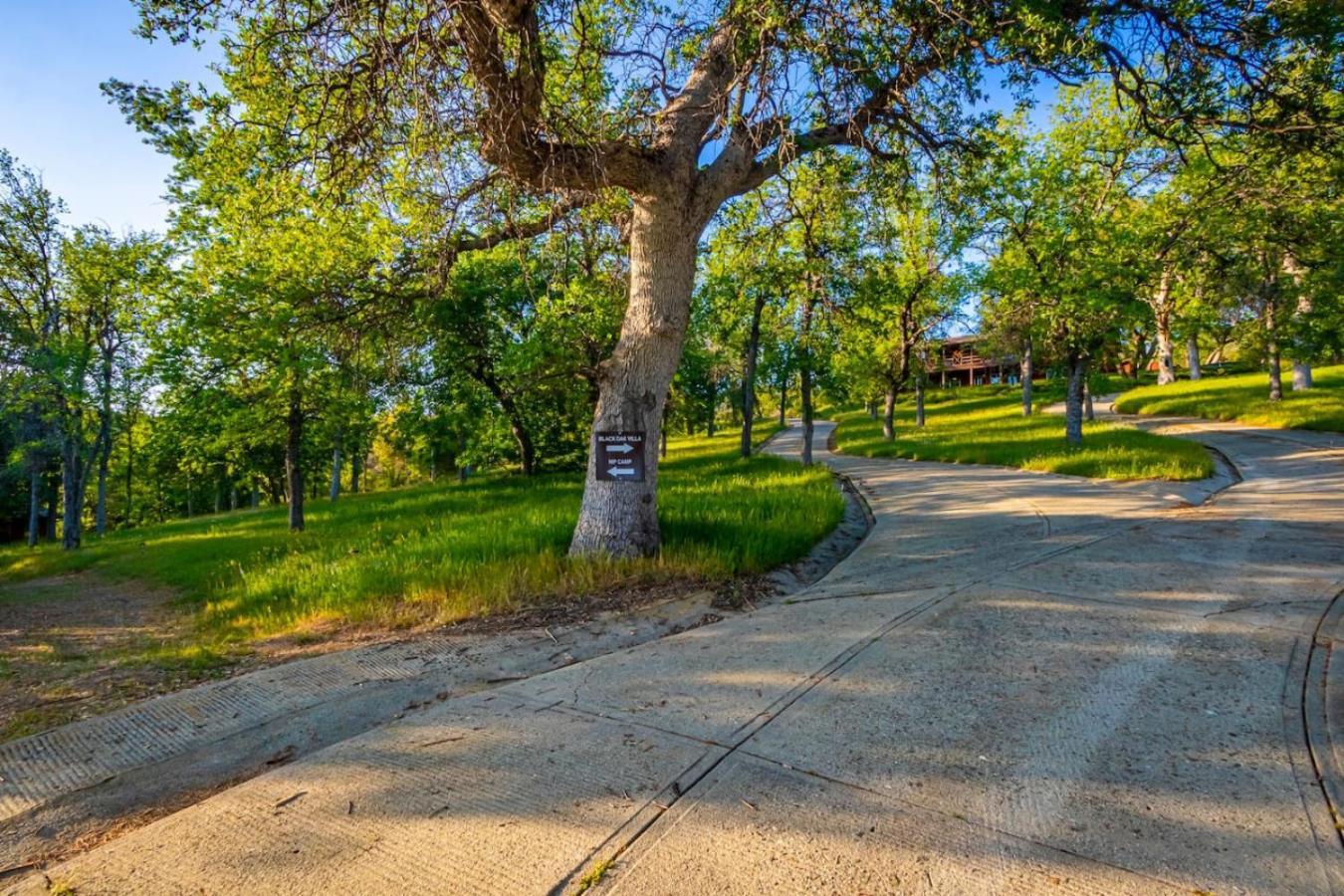 10-Acre Forest Villa, 20 Miles From Yosemite South Oakhurst Eksteriør billede