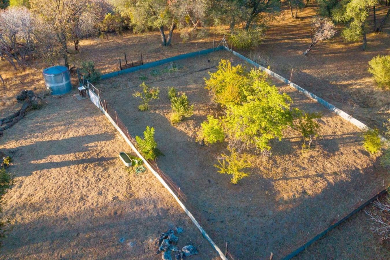 10-Acre Forest Villa, 20 Miles From Yosemite South Oakhurst Eksteriør billede