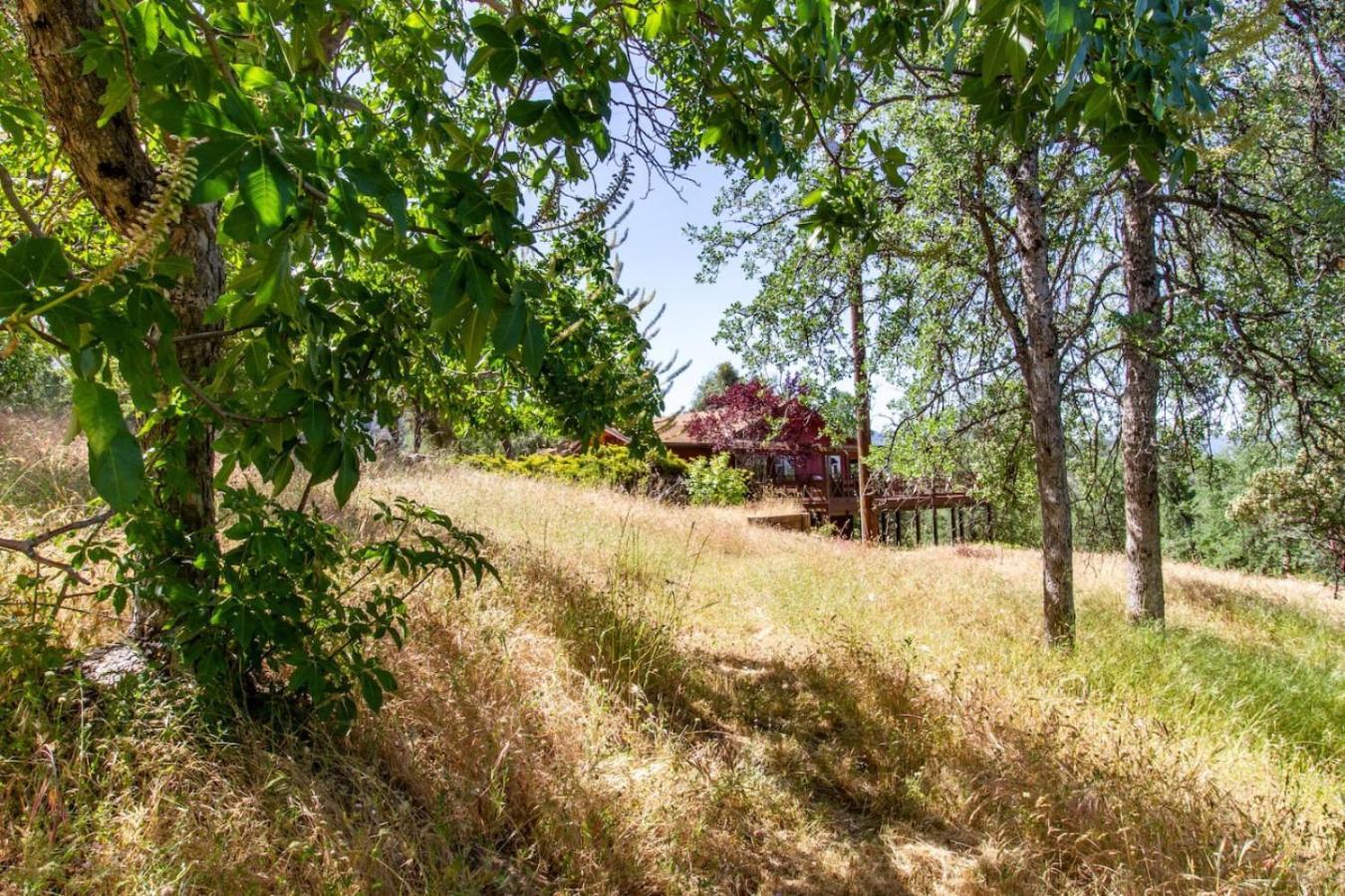 10-Acre Forest Villa, 20 Miles From Yosemite South Oakhurst Eksteriør billede