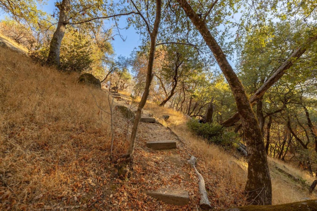 10-Acre Forest Villa, 20 Miles From Yosemite South Oakhurst Eksteriør billede