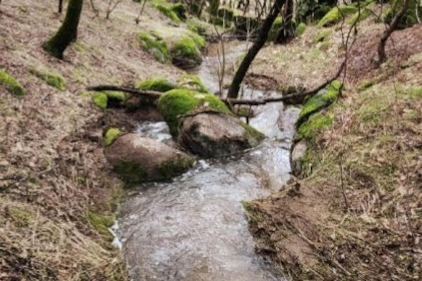 10-Acre Forest Villa, 20 Miles From Yosemite South Oakhurst Eksteriør billede